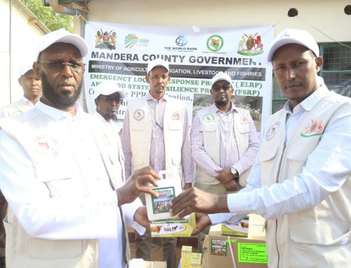 Mandera County Launches Comprehensive Sheep and Goat Vaccination Campaign