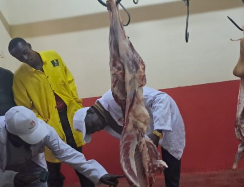 Mandera Governor Commissions Modern Slaughterhouse in Takaba Boosting Livestock Sector