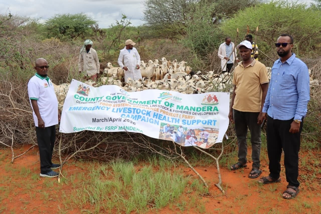 County Launches Emergency Livestock Health Campaign Targeting 722,691 Animals Under FSRP