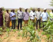 Officials and farmers at the Yabicho A irrigation scheme in Mandera